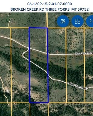 Ponderosa Pines - Land