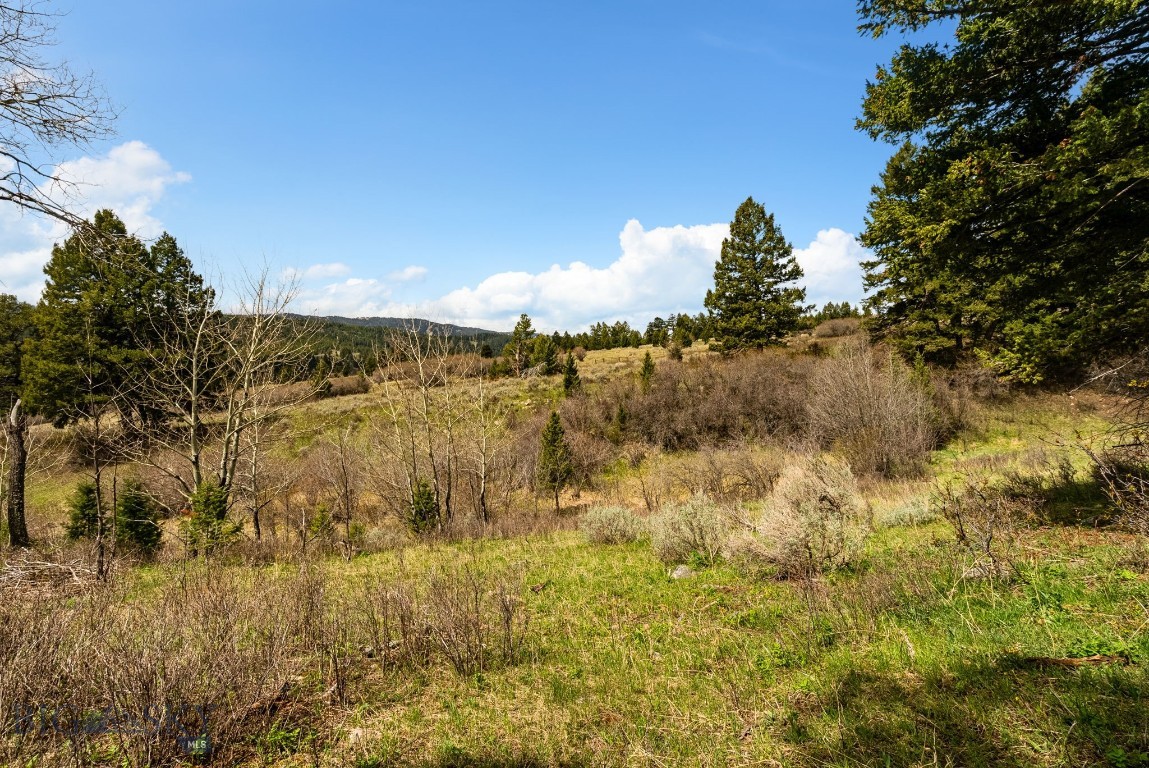 None - Residential