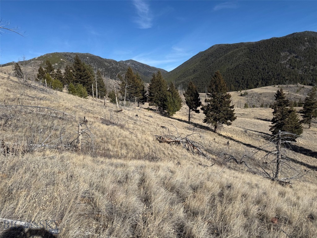 Aspen Valley Ranches - Land
