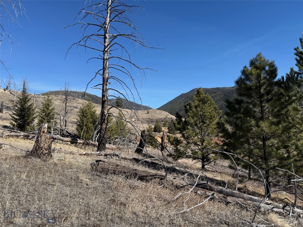 Aspen Valley Ranches - Land