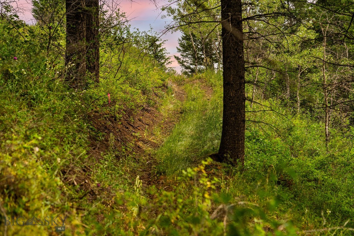 Timberline Creek - Residential