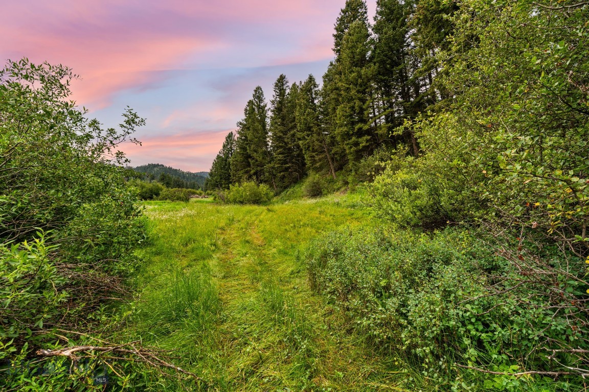 Timberline Creek - Residential