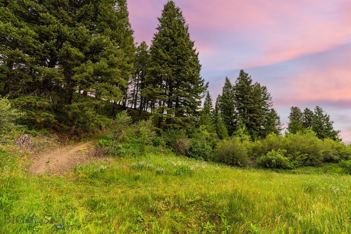 Timberline Creek - Residential