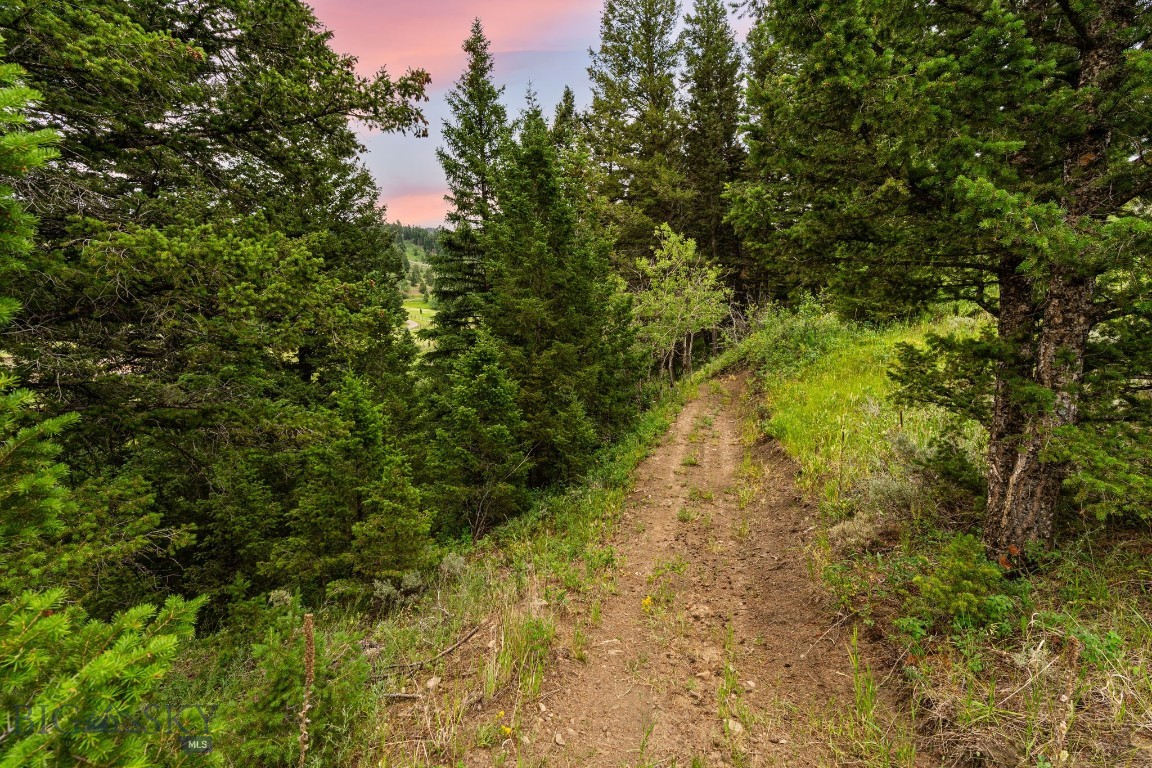 Timberline Creek - Residential