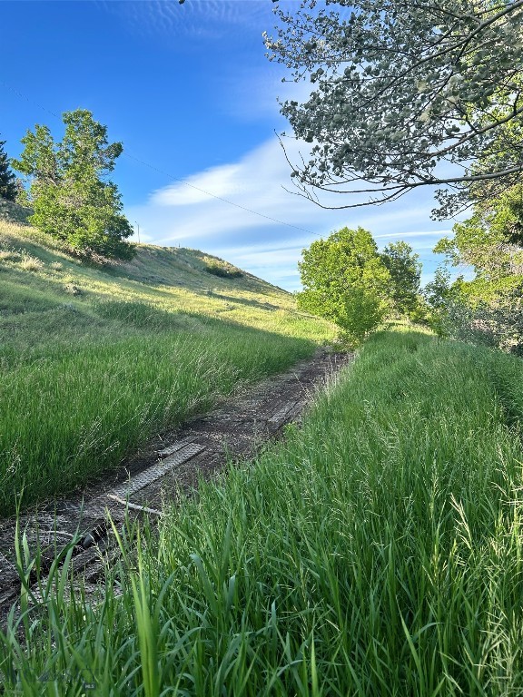 Livingston Original Plat - Land