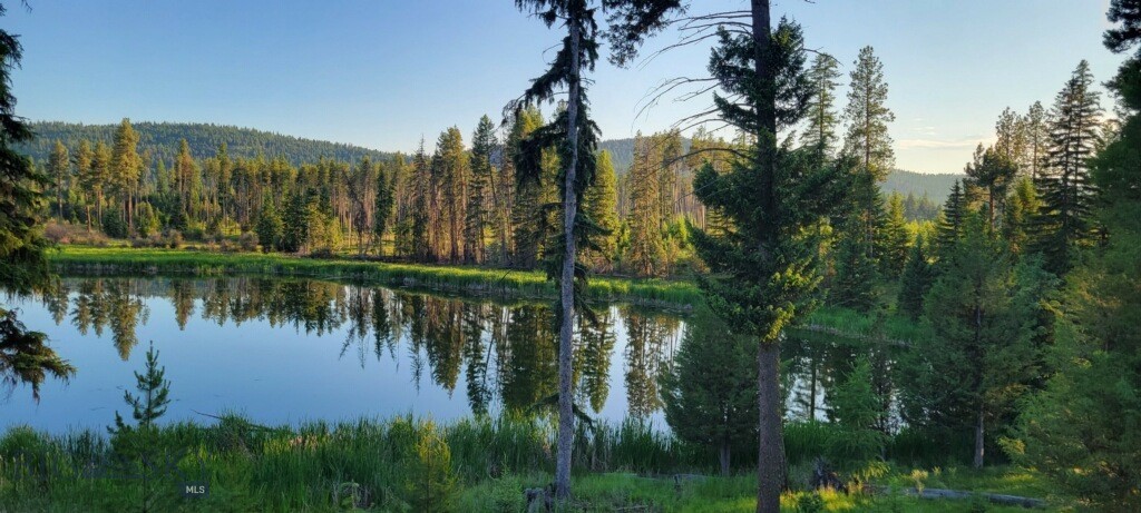 Development Land in Seeley Lake - Invest in 20 acres of flat forested land featuring frontage on Lazy Pine pond and a wildlife filled wetland. Great access only 1/4 mile off of Highway 83 right in the mountain community of Seeley Lake. No covenants and no zoning make possible a development for RV park, hotel, lodge, tap house, residential homesites, or a personal residence all after Missoula County approval. The SL Regional Plan provides for development of 1 dwelling unit per 1/4 acre on this parcel. The Seeley Lake Regional Plan is a non-regulatory document intended to provide policy guidance on how growth and development should occur in the Plan Area, to inform land use decisions, and to provide specific measures for meeting the community's land use goals.