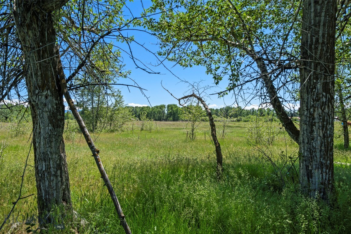 Other - Land
