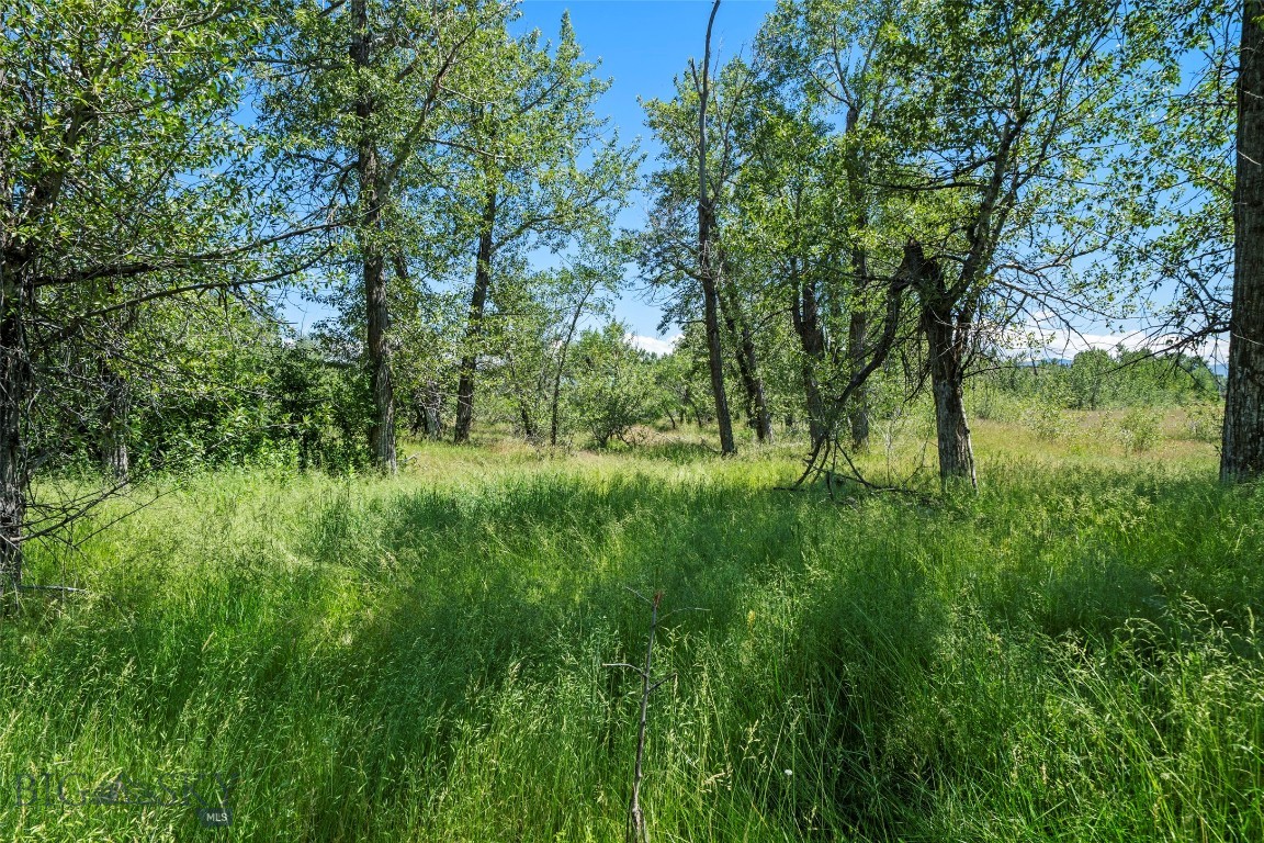 Other - Land