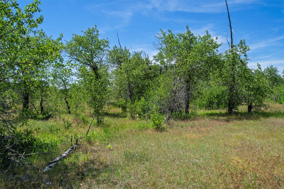 Other - Land