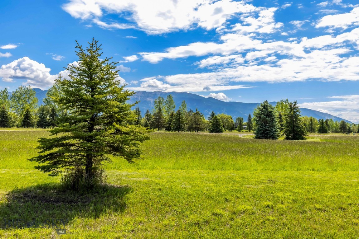 Bridger Lake Meadows - Residential