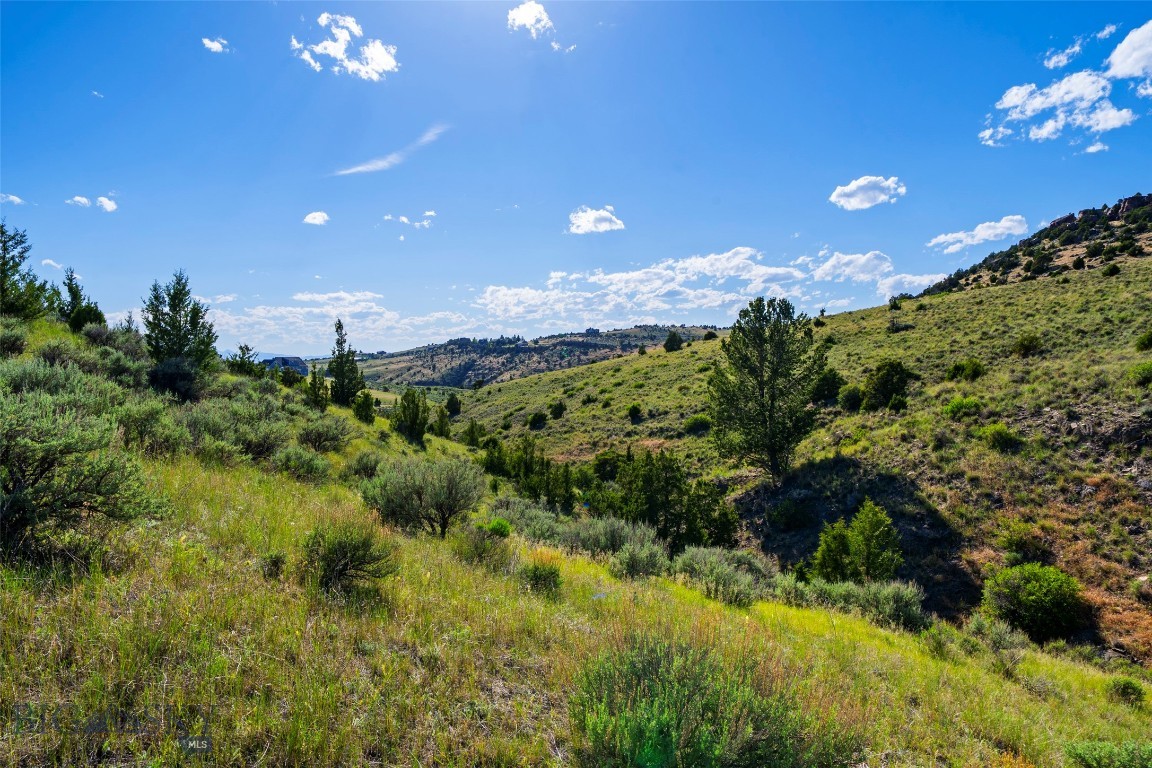 Gallatin River Ranch - Land