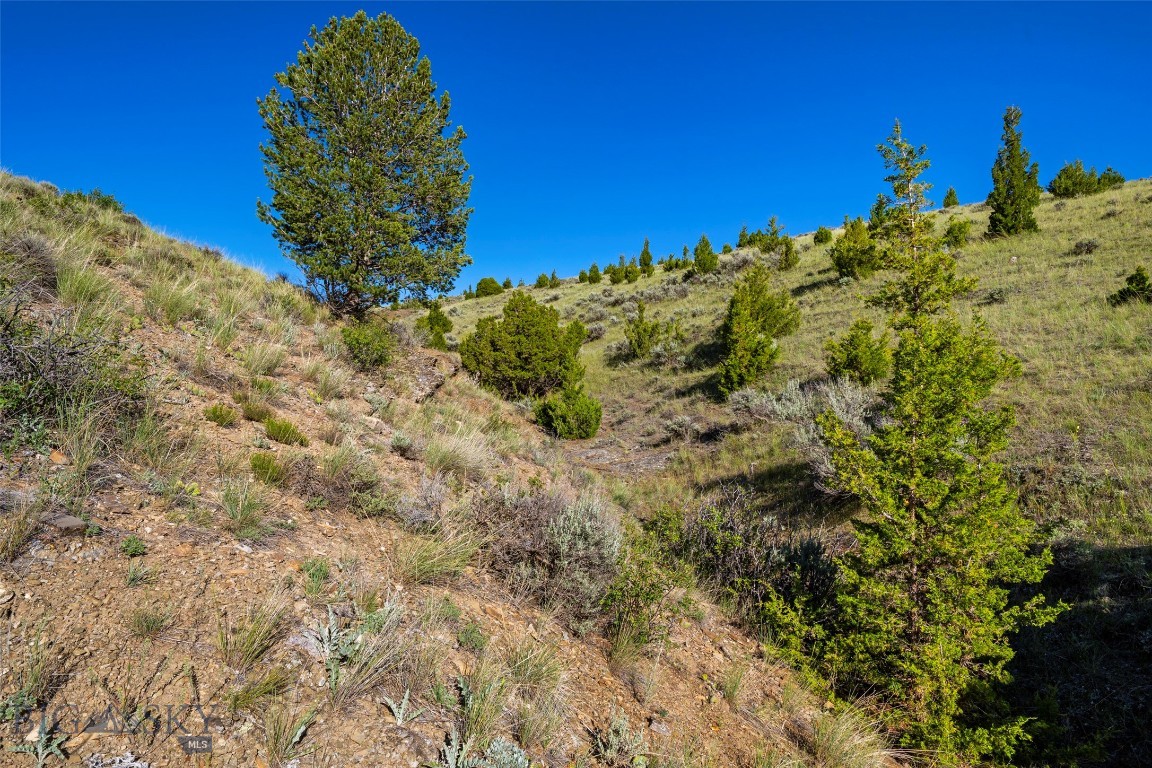 Gallatin River Ranch - Land