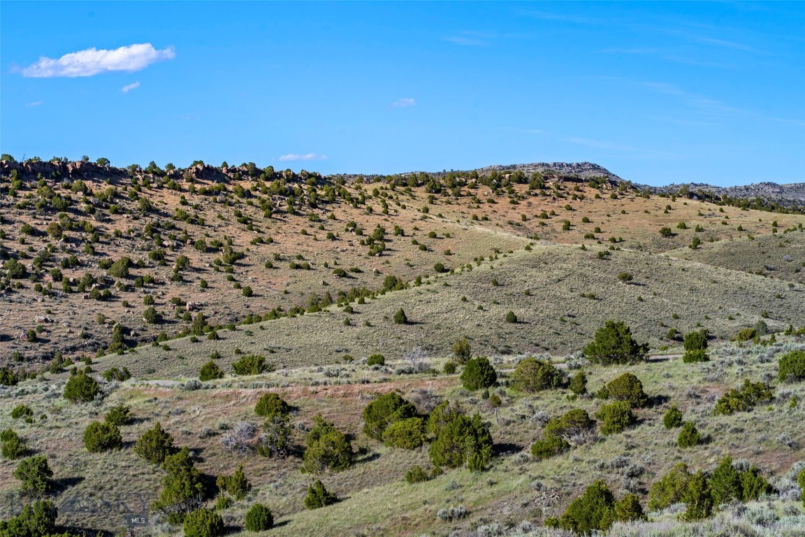 Gallatin River Ranch - Land