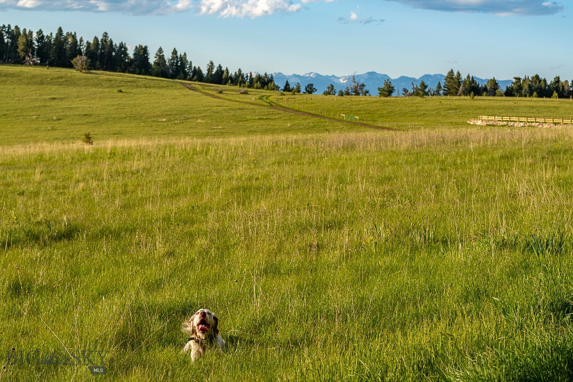 Yellowstone Basin Properties - Land