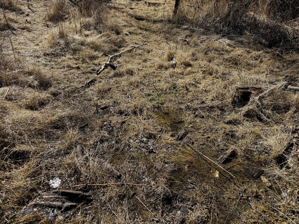 None - Land