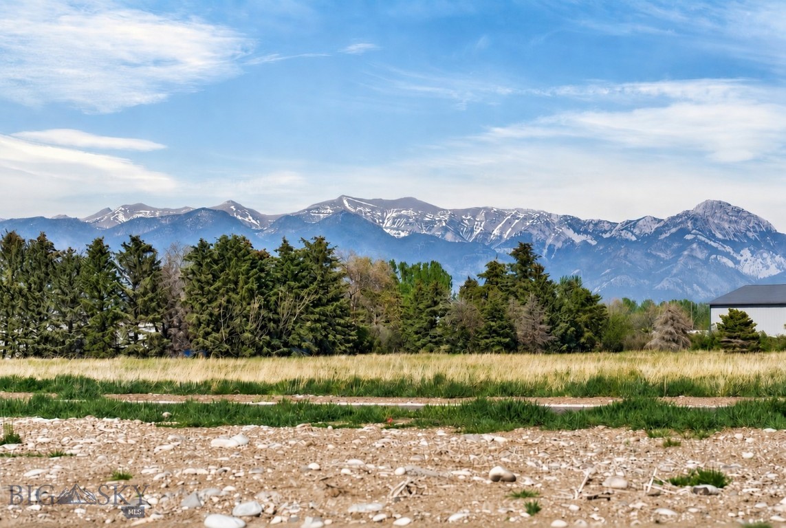 Gallatin Meadows - Land