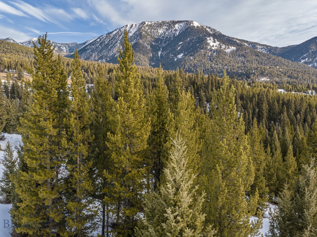Antler Ridge - Land