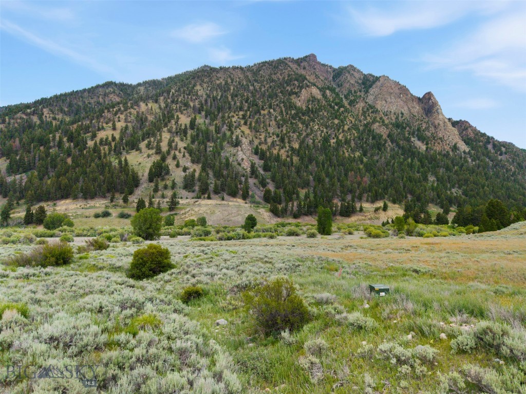 Sportsmans Paradise - Land