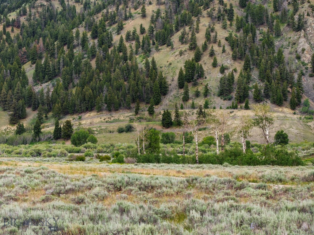 Sportsmans Paradise - Land