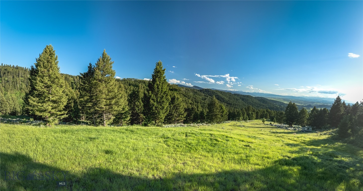 North Pass Ranches - Land