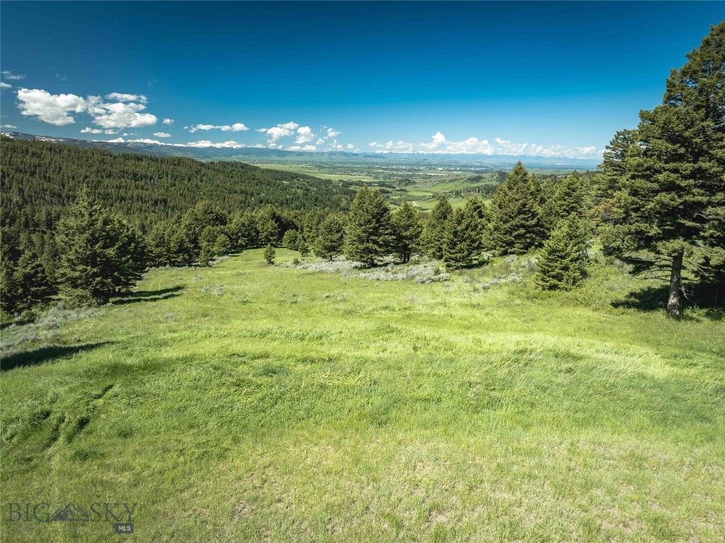North Pass Ranches - Land