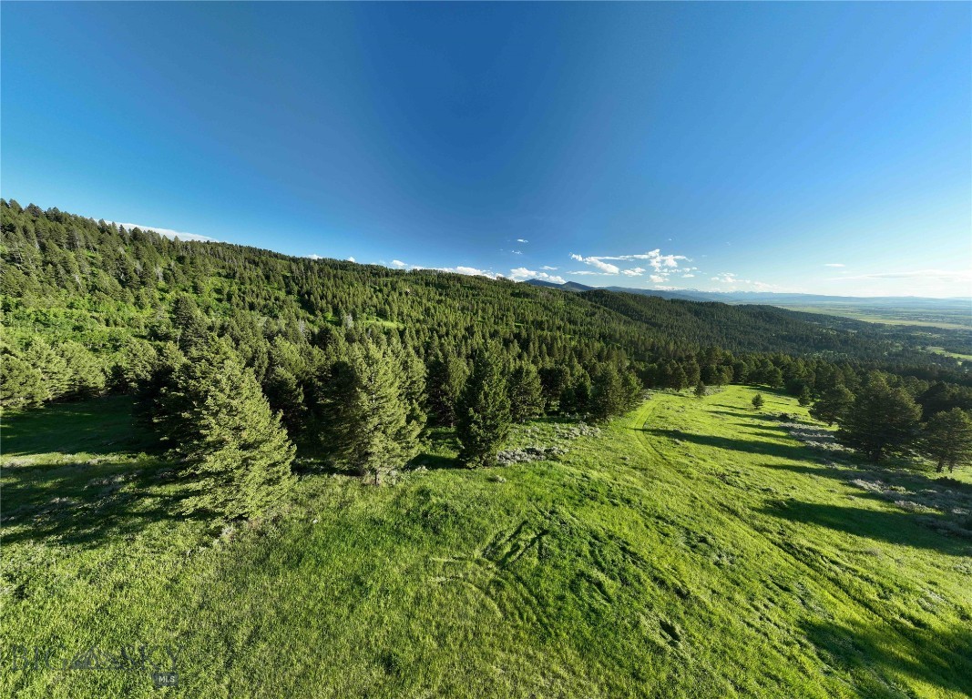 North Pass Ranches - Land