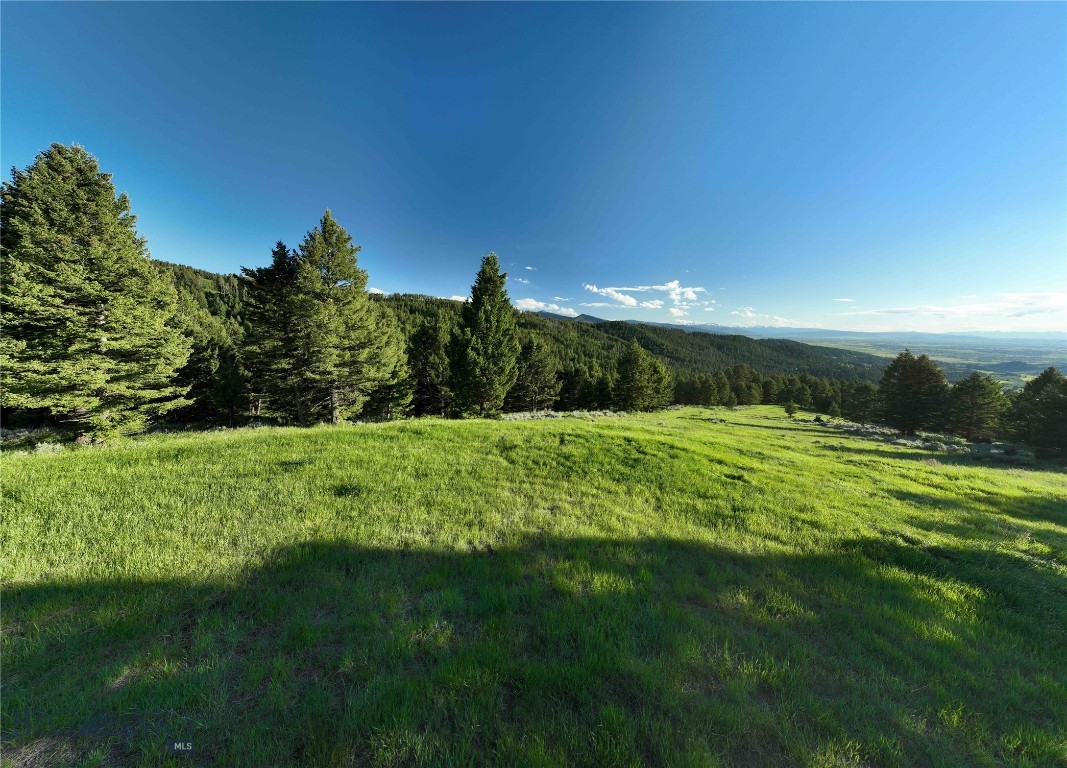 North Pass Ranches - Land