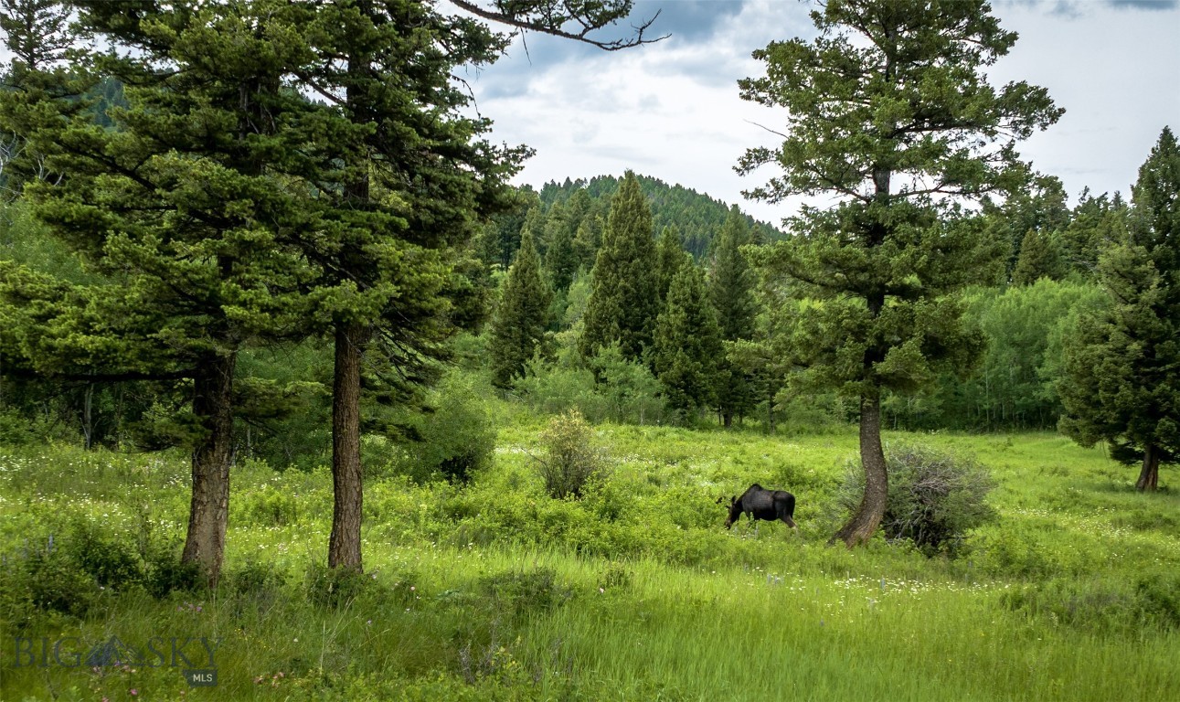 North Pass Ranches - Land