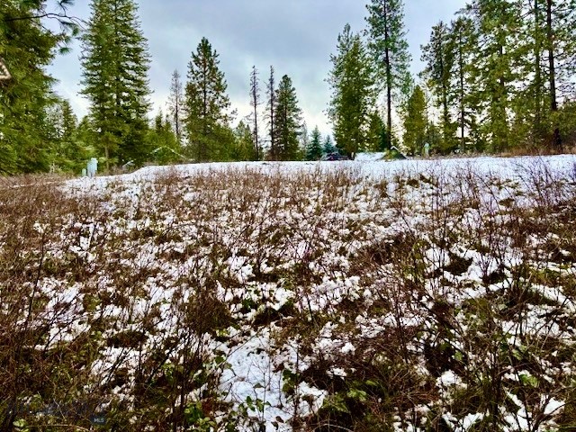 Other - Land