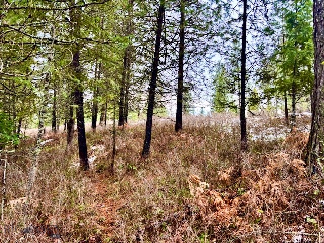 Other - Land