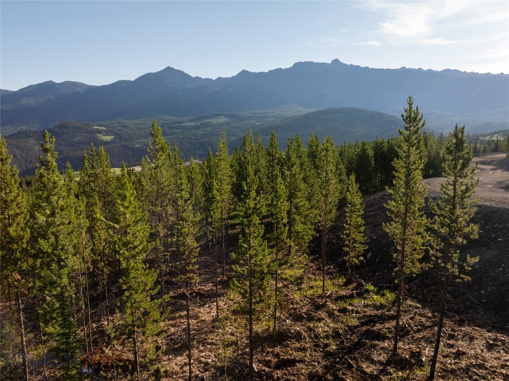 Moonlight Basin West 1 - Land