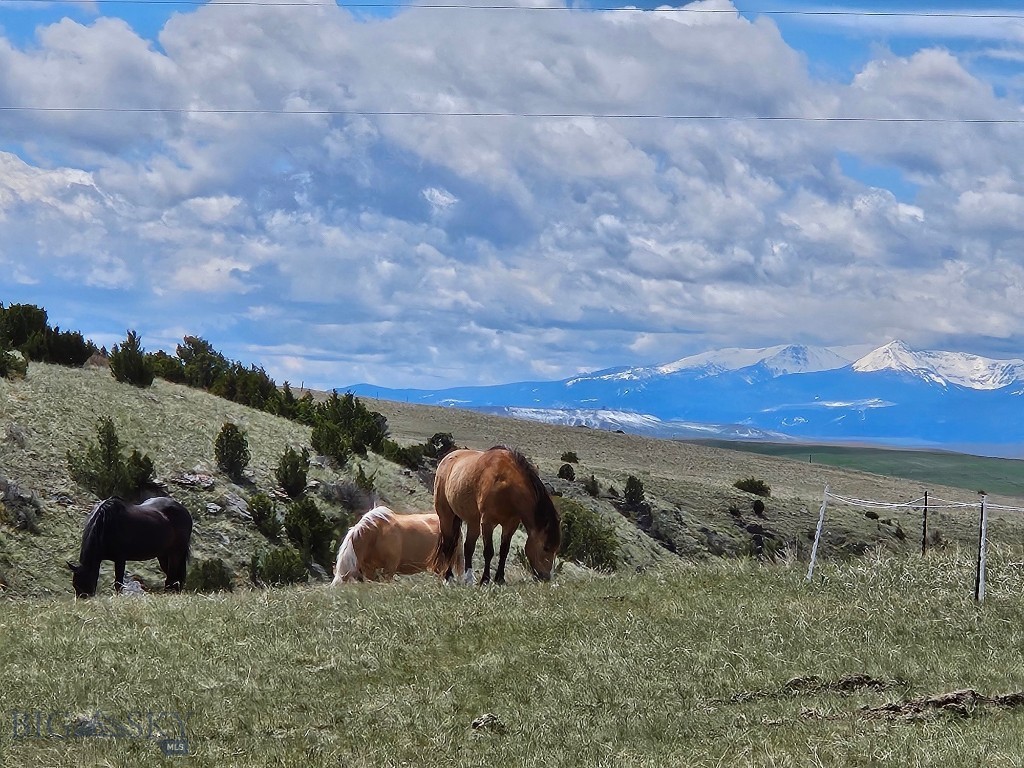 Here is your chance to own a true hunter's paradise close to Bozeman! These deeded 160 acres hold mule deer, antelope AND elk. Within minutes of the Logan gun range and Gallatin Sporting clays and only 30 minutes to the Bozeman Airport. 160 acres of adjacent, land locked State Land, add even more opportunity for recreation. Enjoy sweeping views of the Tobacco Root mountains from your back patio and end of the road privacy from the front porch. A remodeled manufactured home on a permanent foundation with 3 bedrooms, 2 baths, covered porches and new metal roof provide for comfortable living, with plenty of room for a custom home, shop, riding arena, etc. Property is set up for horses and other livestock with a newer barn, multiple corrals and pastures and a natural spring that provides year round stock water and a source for the wildlife. Other improvements included a 16x24 garage, small shed and office building, and a 24gpm well. This property has it all! Call or text your favorite real estate agent for a showing today! Please no drive-byes.