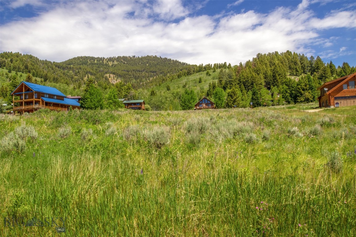 Yellowstone Holiday - Land