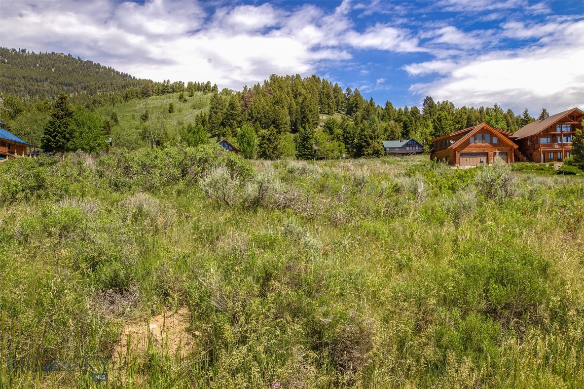 Yellowstone Holiday - Land