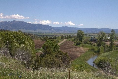 Exceptional Bozeman opportunity for a quiet 5 acre parcel with a spring-fed creek plus a seasonal ditch flowing from the Gallatin River. When the ditch is flowing, trout from the Gallatin can be caught right from the property!  Sunrise Ridge is located off a dead-end county road on a private drive and offers diverse topography with phenomenal views of the Gallatin range, Bridger mountains, Spanish Peak mountains and the Gallatin Valley – among the best views available in the Bozeman area. Enjoy breathtaking sunrises and sunsets in the peace and quiet of rural living. Convenient to Bozeman amenities and access to Big Sky. Paddock area large enough for two horses with year round spring-fed creek. Electric power to the property, approved septic and well areas for a home and guest home, ready to build your very own designed Montana home. ADU/Guest House, Multifamily, and Shop approved!  Seller is a MT licensed real estate broker.