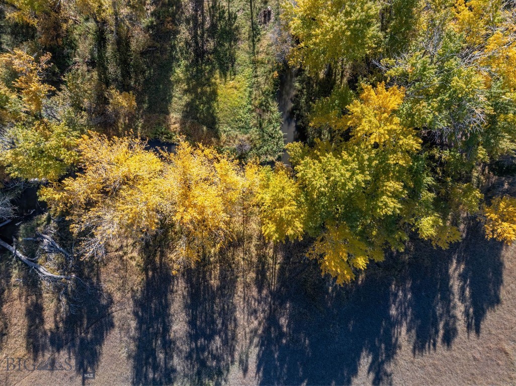 Middle Creek Meadows - Land