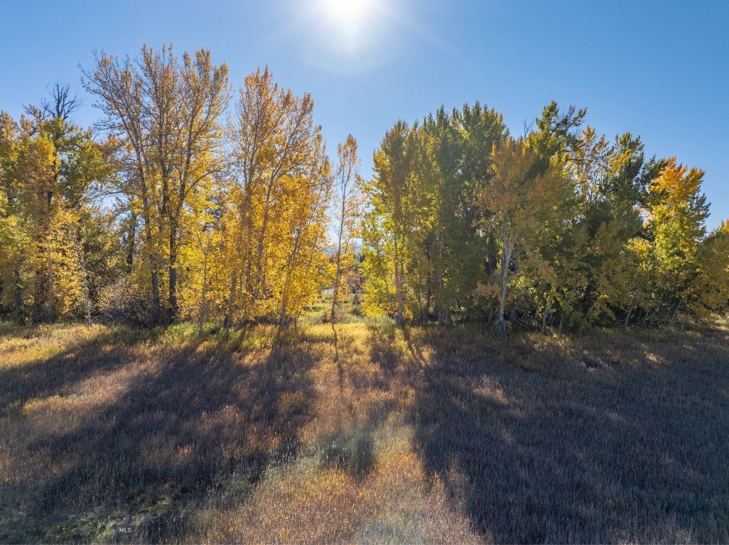 Middle Creek Meadows - Land
