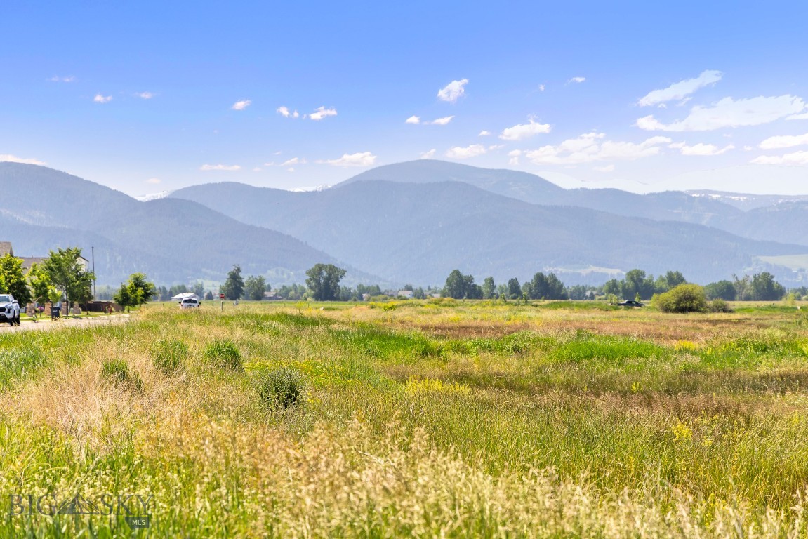 Meadow Bridge - Land