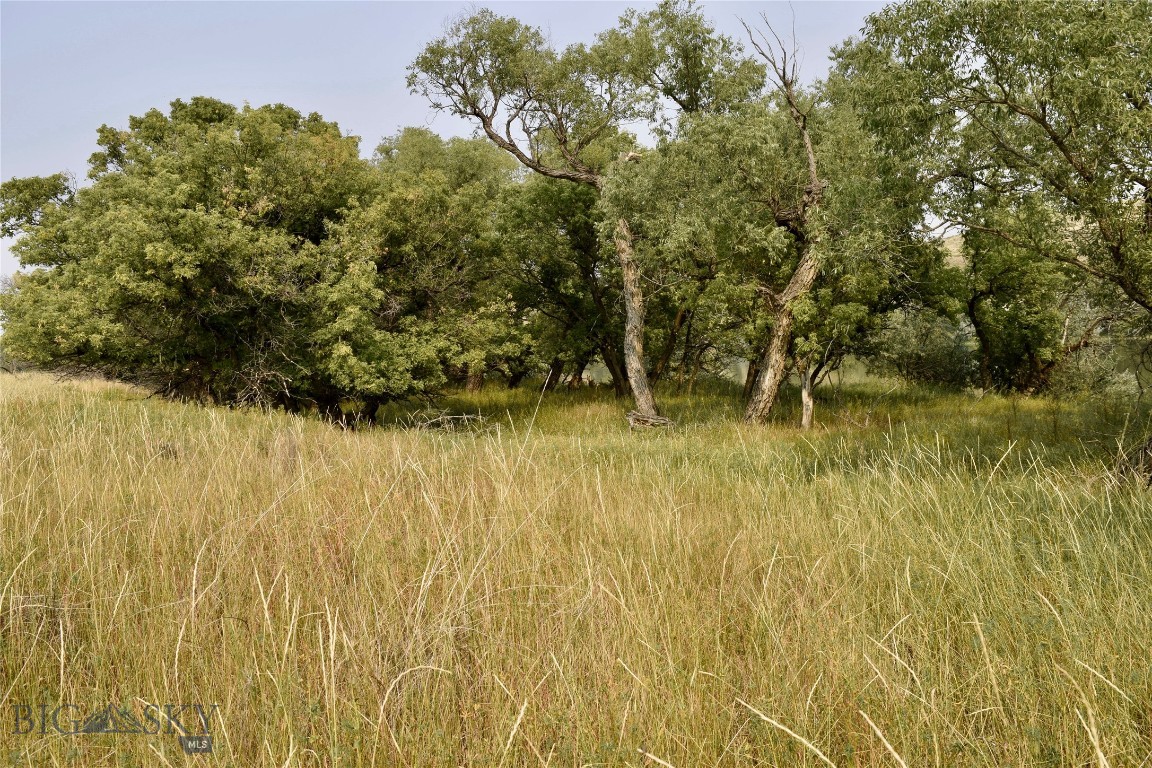 Other - Land