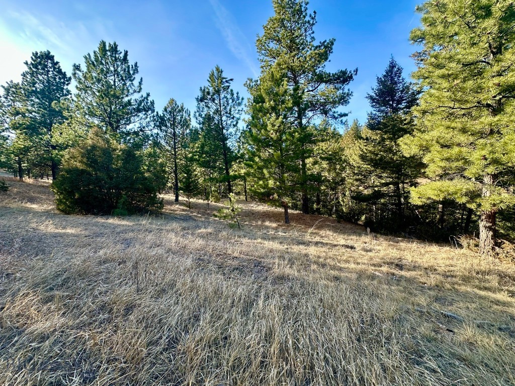 Other - Land