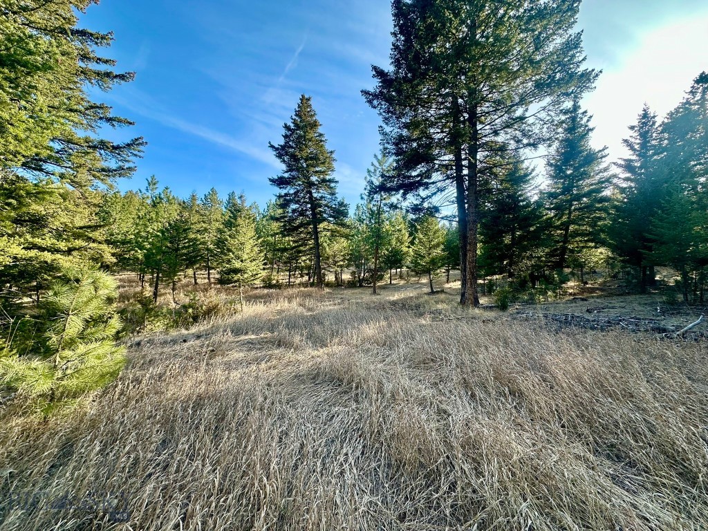 Other - Land