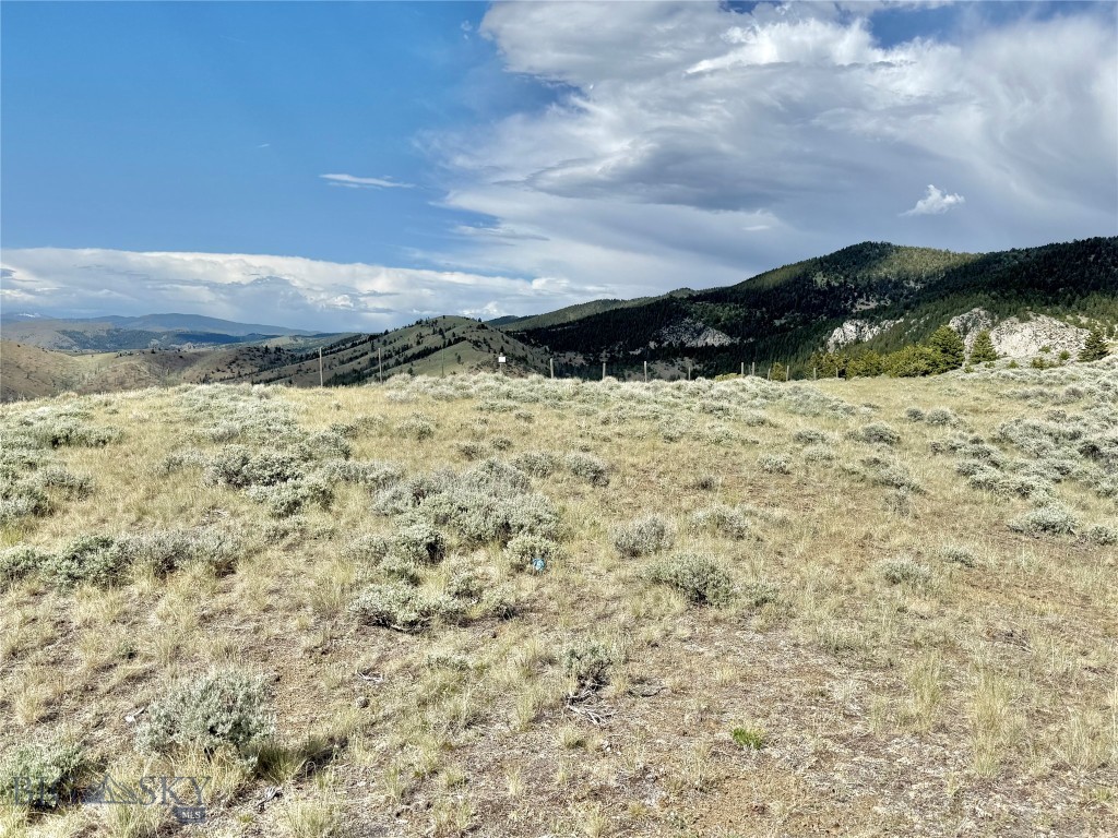Ponderosa Pines - Residential