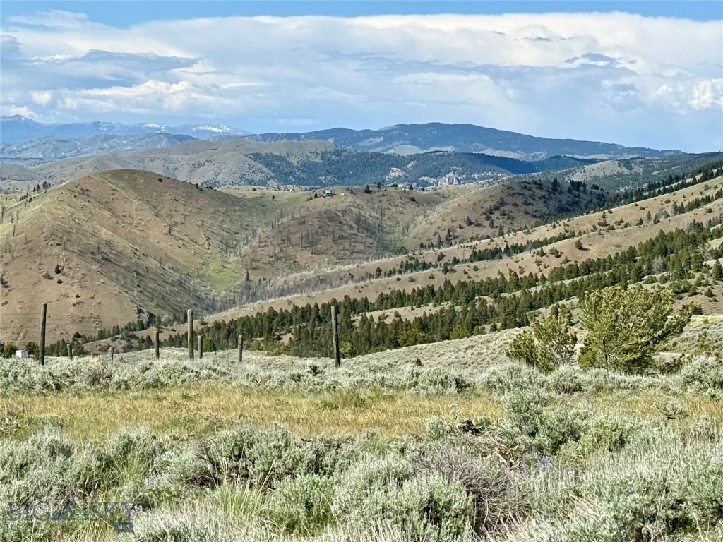 Ponderosa Pines - Residential