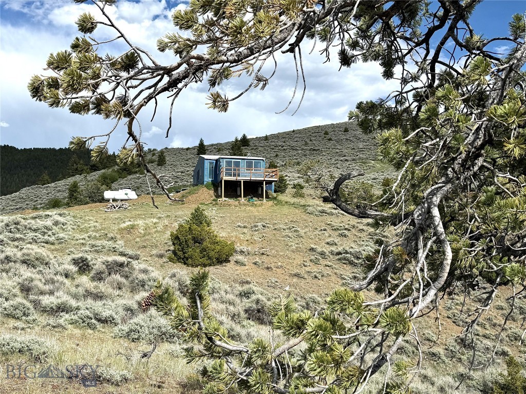 Ponderosa Pines - Residential
