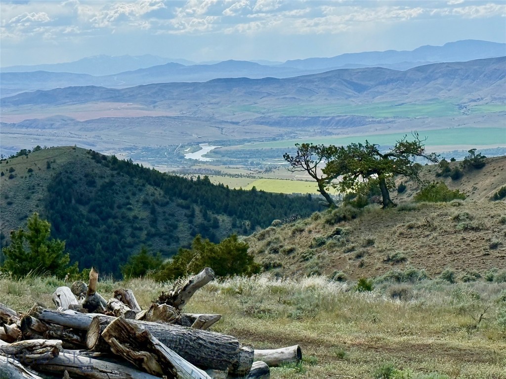 Ponderosa Pines - Residential