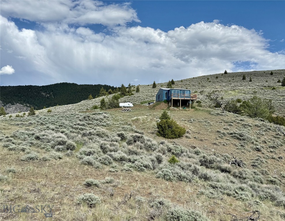 Ponderosa Pines - Residential