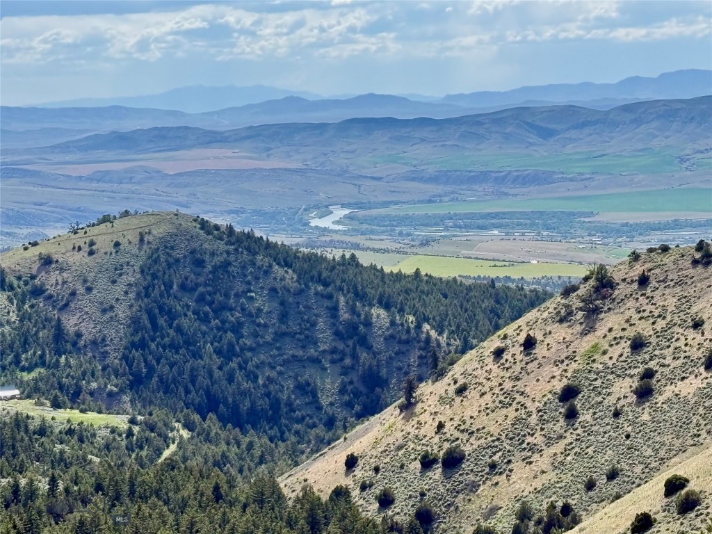Ponderosa Pines - Residential