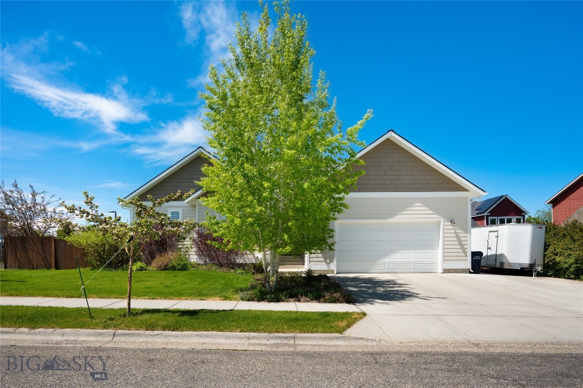 Allison - Residential