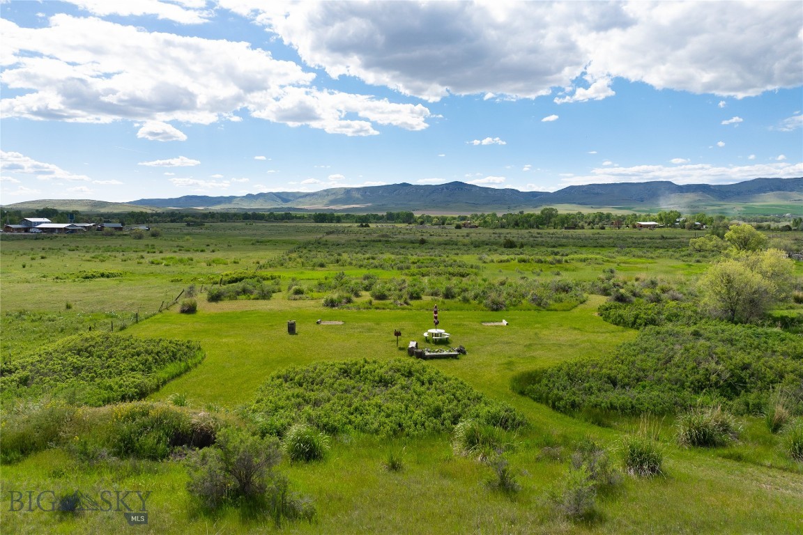 Ponderosa Pines - Residential