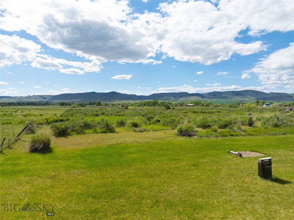 Ponderosa Pines - Residential
